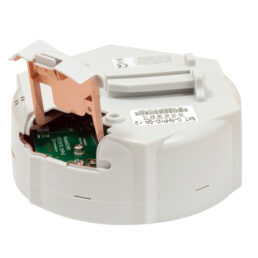 Alternative view of SXT Sa5